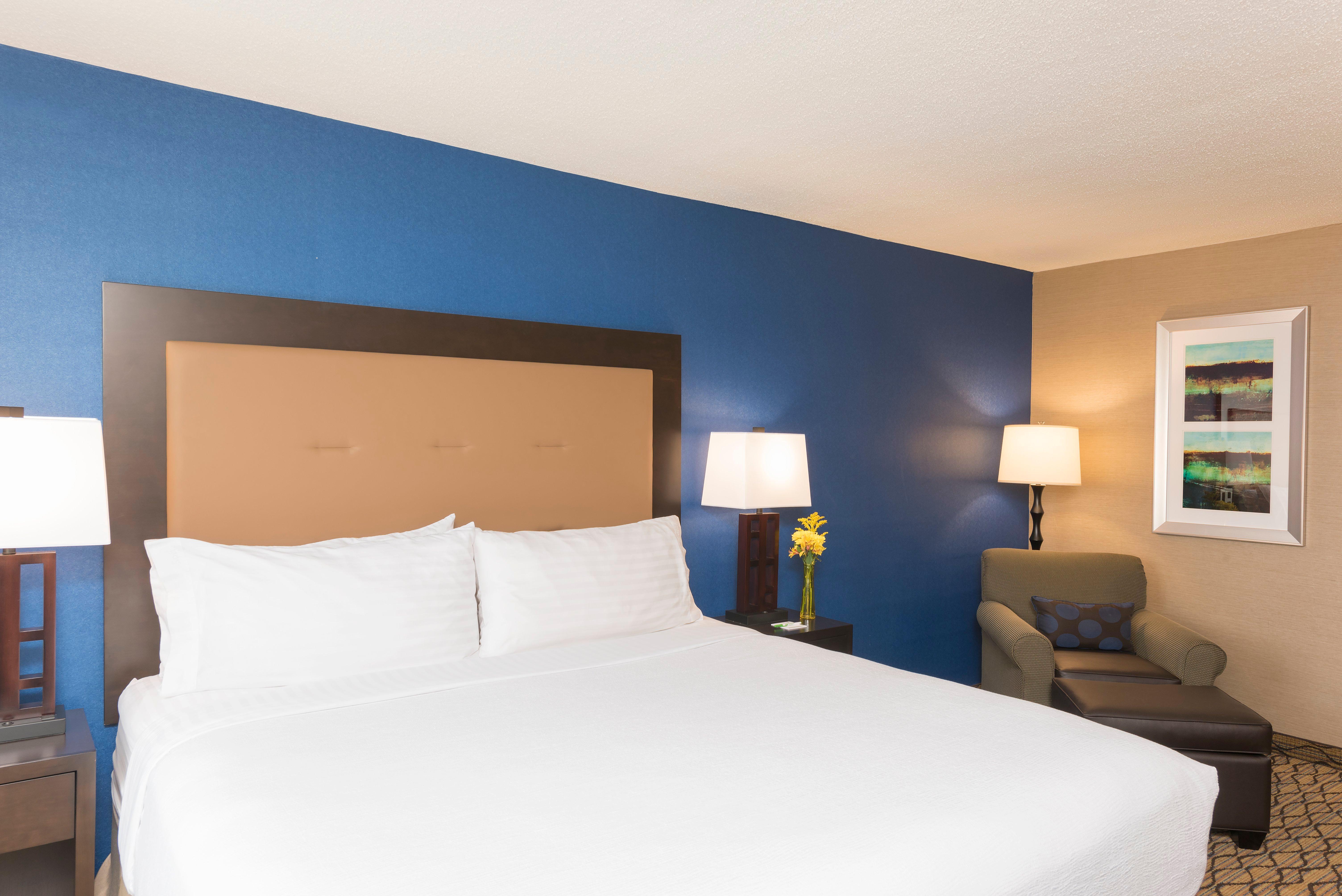 Holiday Inn Chicago - Elk Grove, An Ihg Hotel Elk Grove Village Buitenkant foto