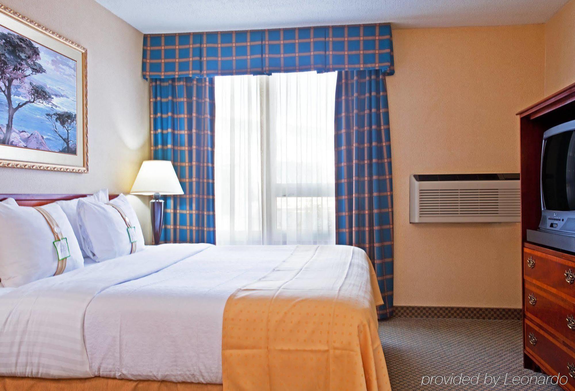 Holiday Inn Chicago - Elk Grove, An Ihg Hotel Elk Grove Village Kamer foto