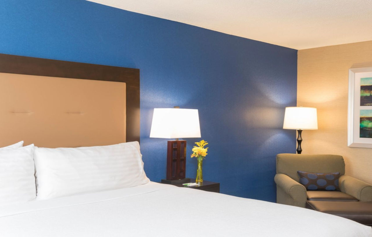 Holiday Inn Chicago - Elk Grove, An Ihg Hotel Elk Grove Village Buitenkant foto